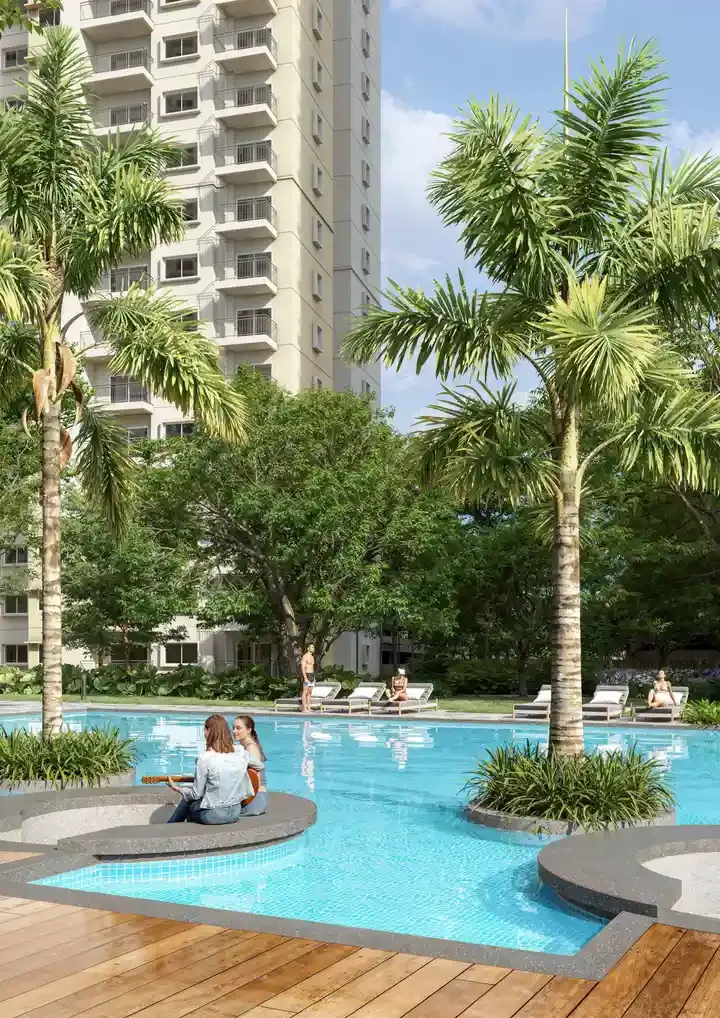 alembic cloud forest pool view alembic cloud forest pool view