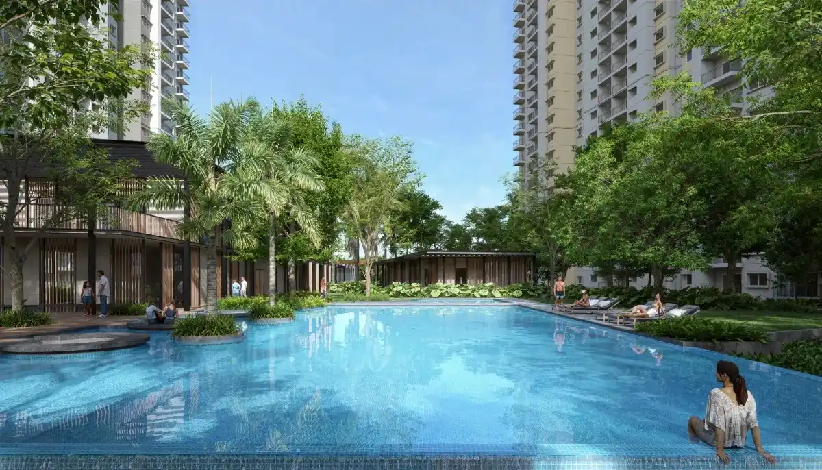 alembic cloud forest swimming pool alembic cloud forest swimming pool