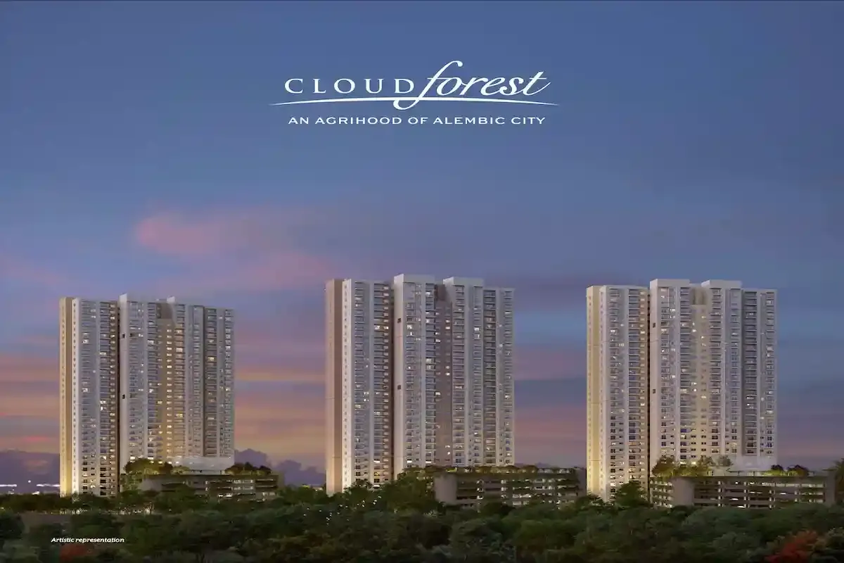 alembic cloud forest distance view from metro station